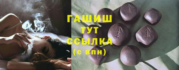 мдпв Новозыбков