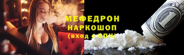 индика Няндома