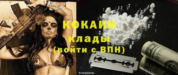мдпв Новозыбков