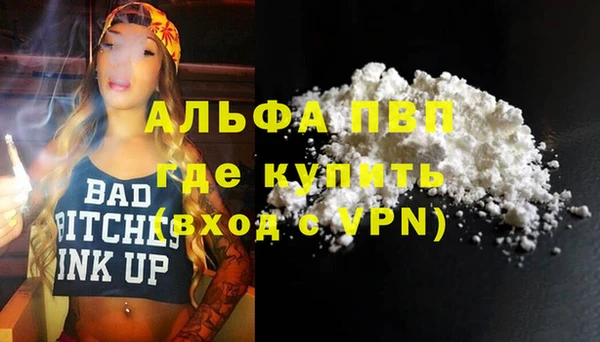 мдпв Новозыбков