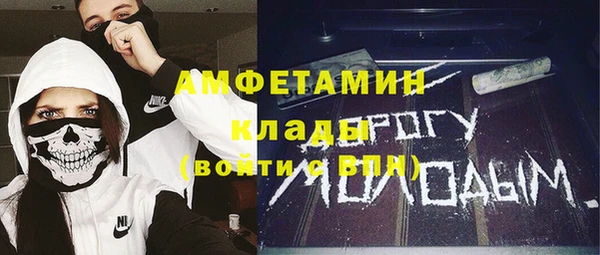 мдпв Новозыбков