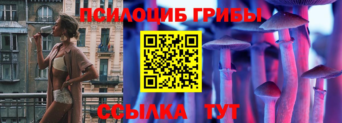Галлюциногенные грибы мицелий Саранск