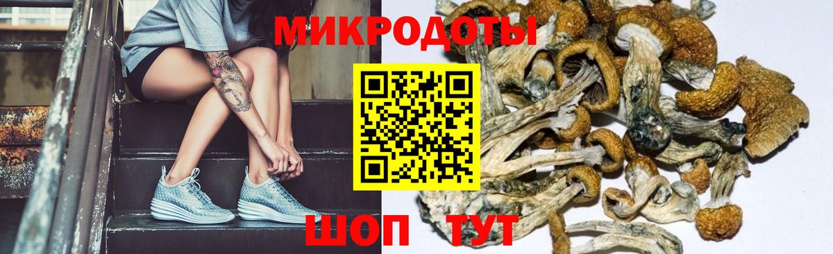 Псилоцибиновые грибы мухоморы  Вход с VPN  Саранск  Псилоцибиновые грибы мухоморы 